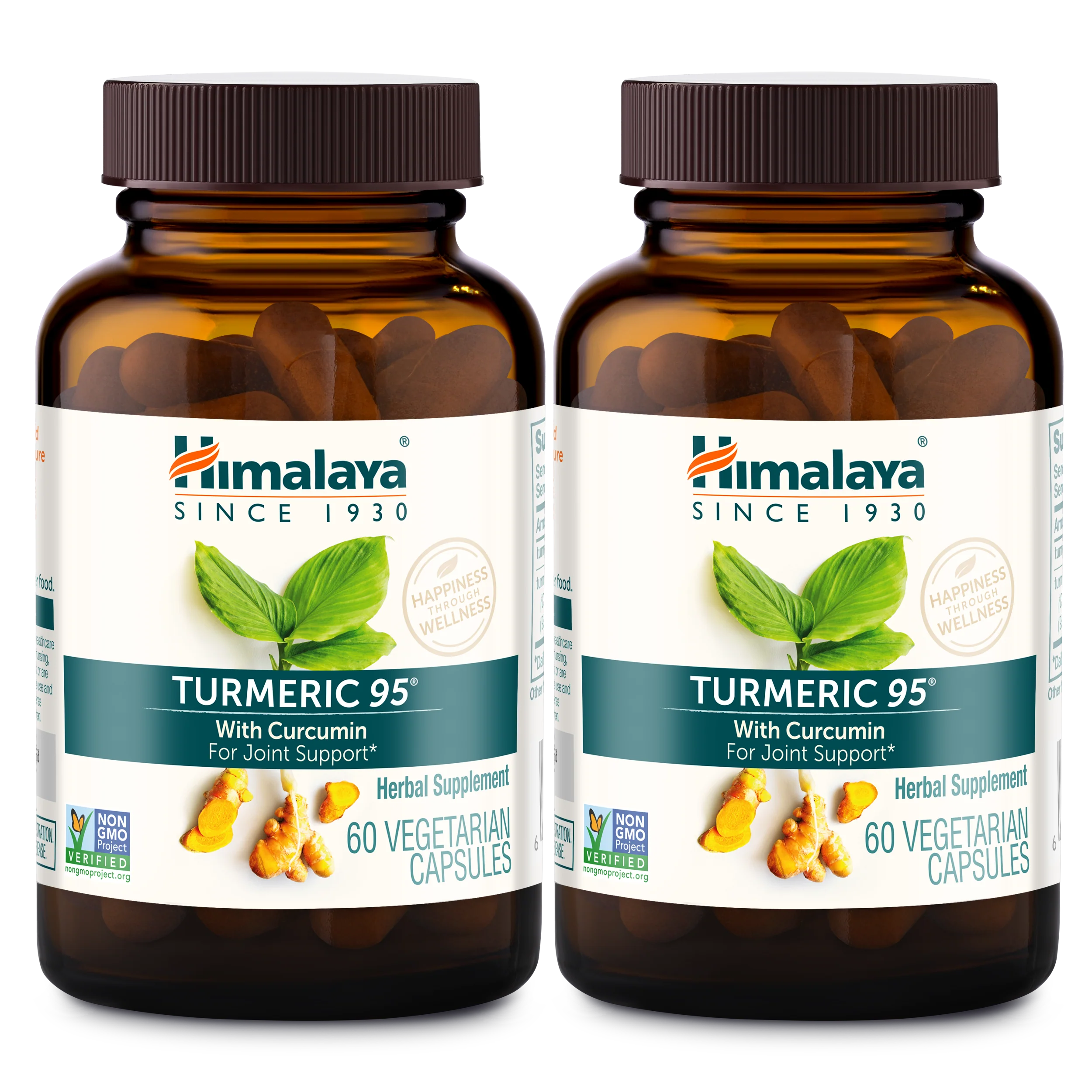 Turmeric 95 - Image 5